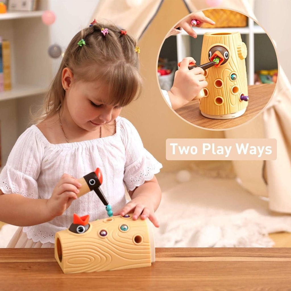 Montessori Toys for 2 Year Old Girl and Boy, Fine Motor Skills Toddler Toys Age 2-4, Woodpecker Worm Toy Magnetic Bird Feeding Game